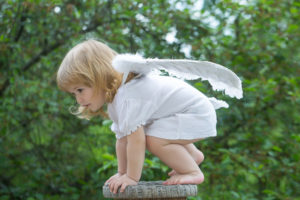 Cute little boy with white wings